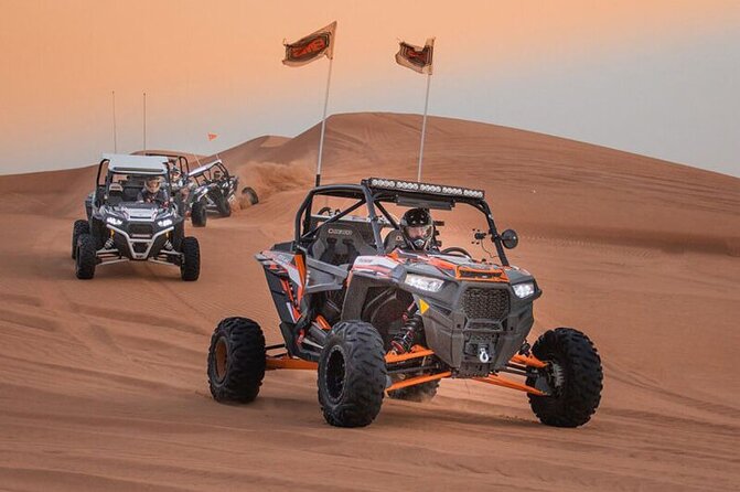 Qatar: Sunrise or Sunset Desert Tour in Doha, unforgettable trip - Who will enjoy this desert outing