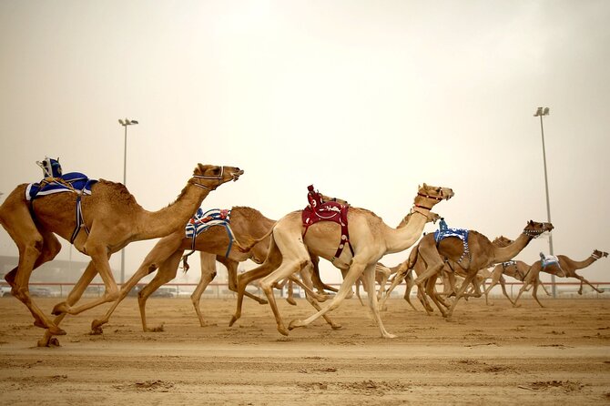 Qatar West Coast tour, Zekreet, Richard Serra Sculpture, Mushroom Rock Formation - Quick points to know before booking
