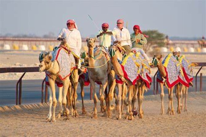 Qatar West Coast Zkreet Richard Sierra Camel Track Rock Formation - Leaving Doha for Qatar’s west coast