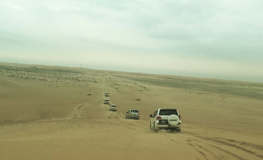 Relax Desert Safari, Sand Dune Bashing (Private Safari) - Leaving Doha for Sealine Beach