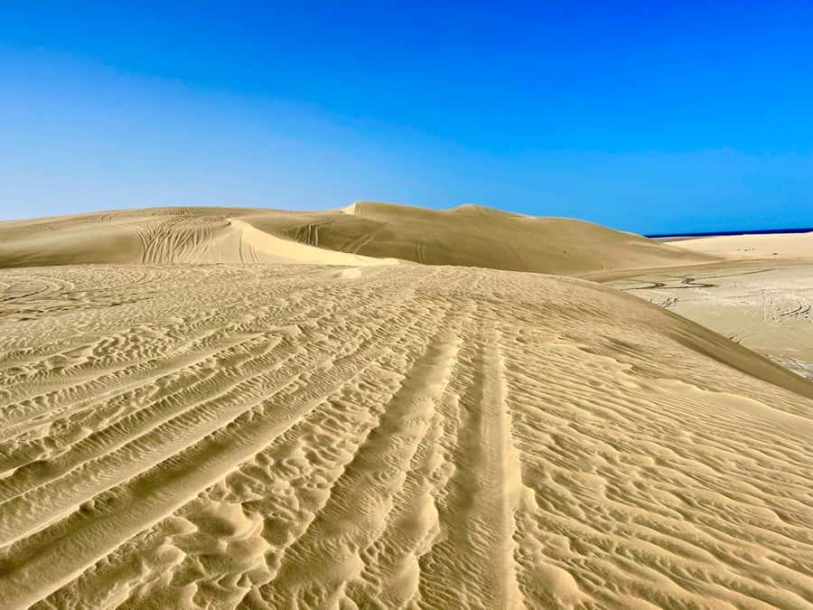 Relax Desert Safari, Sand Dune Bashing (Private Safari) - What the $48 price really covers