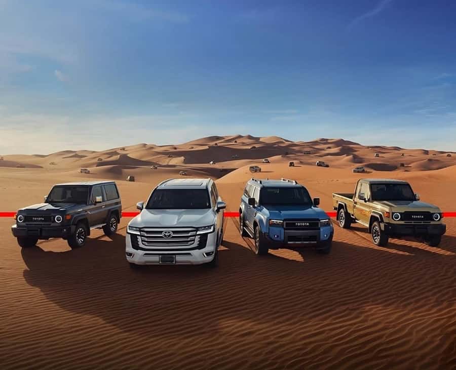 Relax Inland Sea Tour, Desert Safari, Camel Ride, SandBoard - Who will enjoy this desert safari most