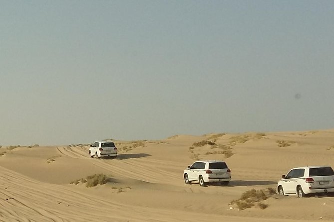 Sharing or Private Safari, Sand Boarding, Camel Ride, inland Sea Quick swim - Leaving Doha for Mesaieed and Sealine Beach