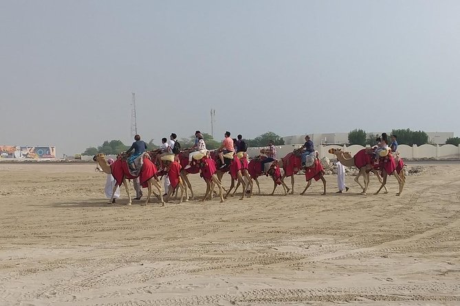 Sharing or Private Safari, Sand Boarding, Camel Ride, inland Sea Quick swim - Reaching Khor Al Adeid and the sea