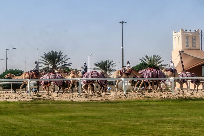 Sheikh Faisal, Camel Race Track visit - Sheikh Faisal Museum: 15 halls of collecting