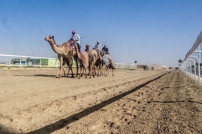 Sheikh Faisal, Camel Race Track visit - Practical tips before you go