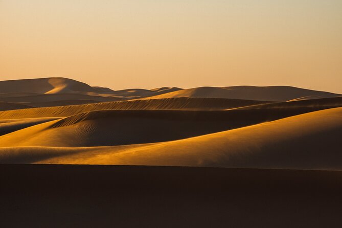 Special Private Arabic Setup with Desert safari experience. - From Doha to the dunes: what the five hours feel like