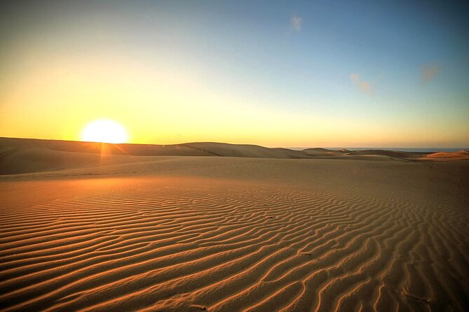 Sunrise Desert Safari in Qatar: An Unforgettable Adventure - Why a sunrise safari is a smart choice in Doha