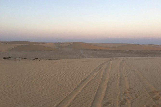 Sunrise Desert Safari in Qatar: An Unforgettable Adventure - What the guide can add to the morning