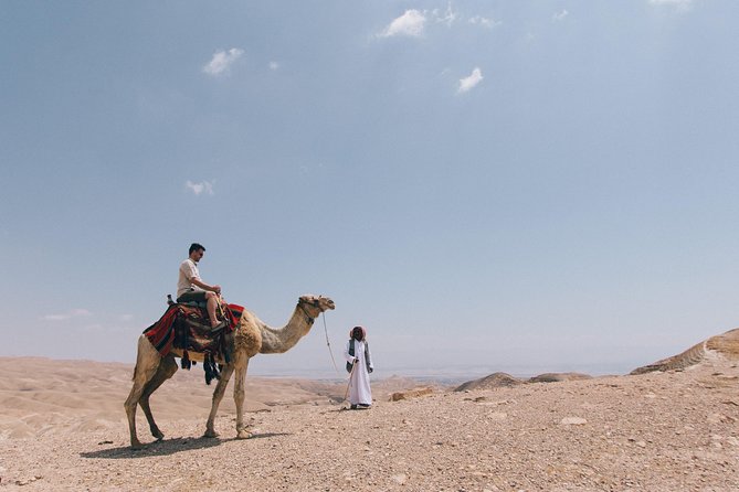 Sunrise Desert Safari in Qatar: An Unforgettable Adventure - Who will get the most from this tour