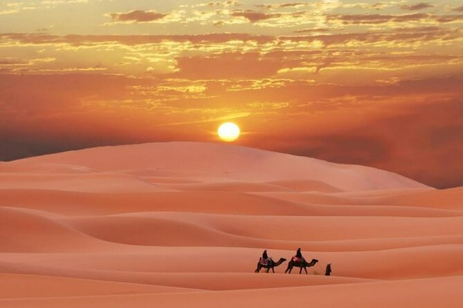 Sunrise or Sunset , Desert Safari Tour in Heart of Qatar - Quick facts about this Qatar desert safari