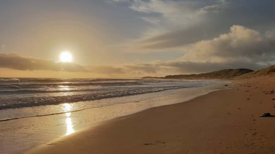 Sunrise : Privare Dune Bashing, Camel Ride & Sandboarding - Key points to know before booking