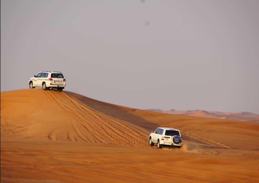 Sunrise : Privare Dune Bashing, Camel Ride & Sandboarding - A dawn start from Doha