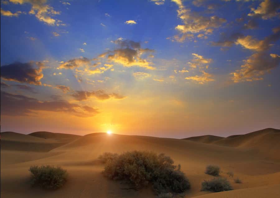 Sunrise : Privare Dune Bashing, Camel Ride & Sandboarding - Sunrise beside Qatar’s Inland Sea