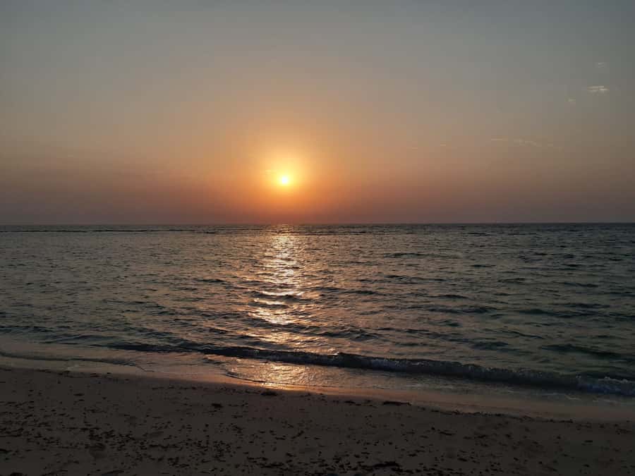 Sunrise : Privare Dune Bashing, Camel Ride & Sandboarding - Sandboarding on the golden dunes