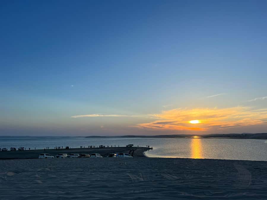 Sunrise : Privare Dune Bashing, Camel Ride & Sandboarding - Camel riding at Sealine Beach Resort