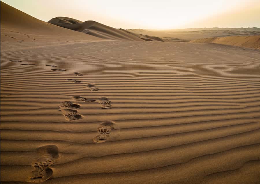Sunrise : Privare Dune Bashing, Camel Ride & Sandboarding - What the $30 price gives you