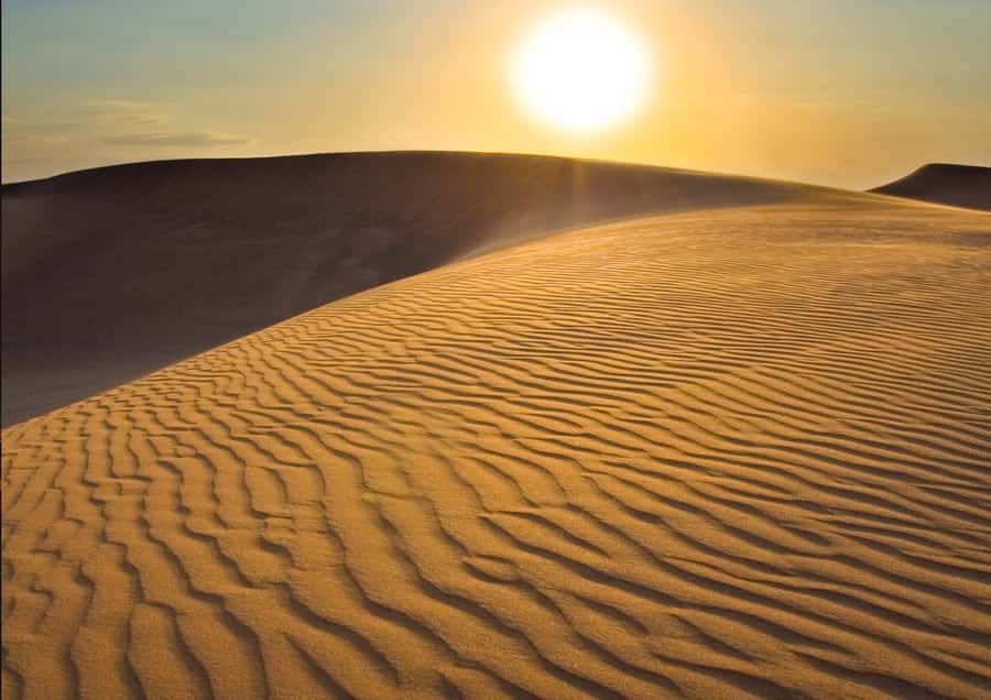 Sunrise : Privare Dune Bashing, Camel Ride & Sandboarding - Private and small-group comfort