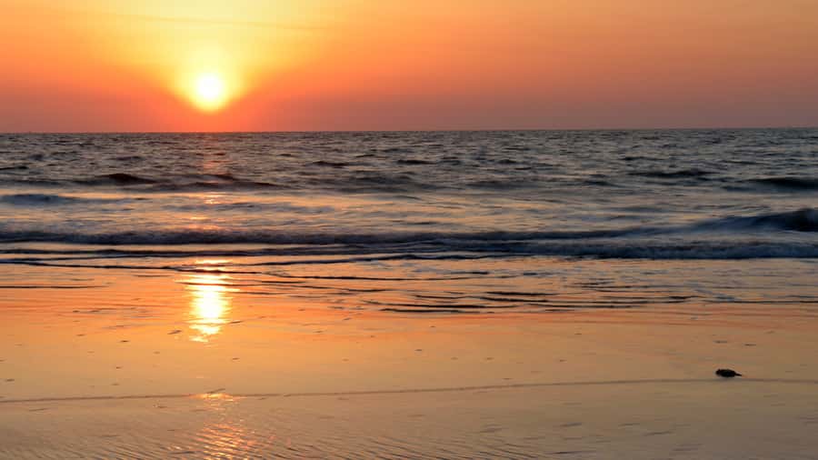 Sunrise : Privare Dune Bashing, Camel Ride & Sandboarding - Safety, comfort, and who should skip it
