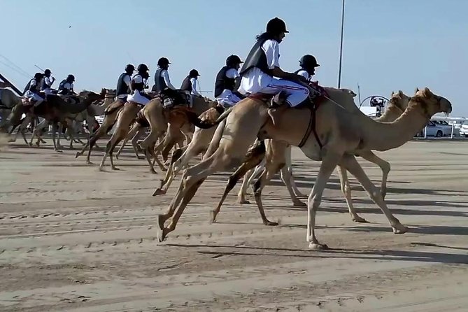 Sunset Keshta at Zekreet | Art, Adventure & Arabian Picnic - Key points to know before you book