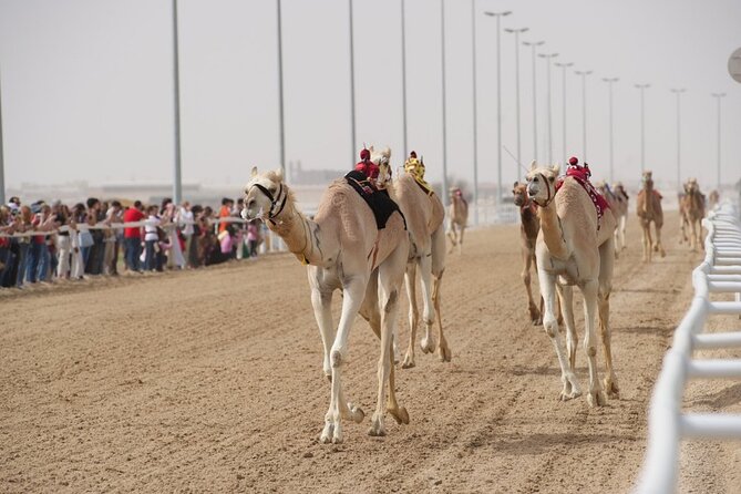 Sunset Keshta at Zekreet | Art, Adventure & Arabian Picnic - A note about dune bashing and camel races