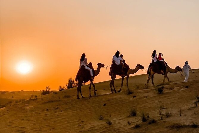 Thrilling 4-Hour Dune Bashing & Camel Ride Safari to Inland Sea - From Doha streets to Sealine’s open sand