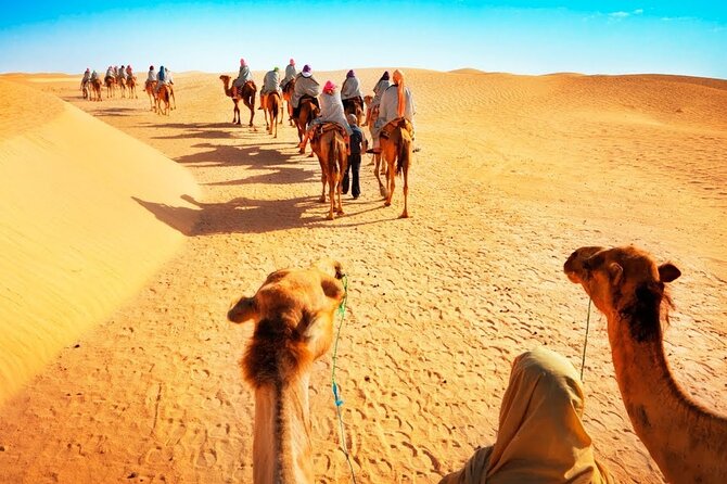 Tranquil Sands A Serene Desert Safari Experience - What the guide adds