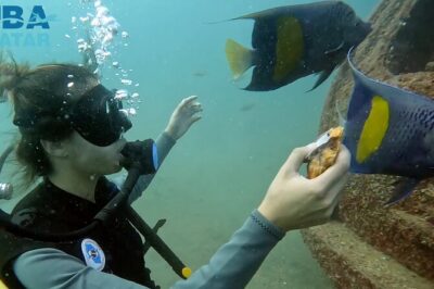 Try Scuba dive in Qatar