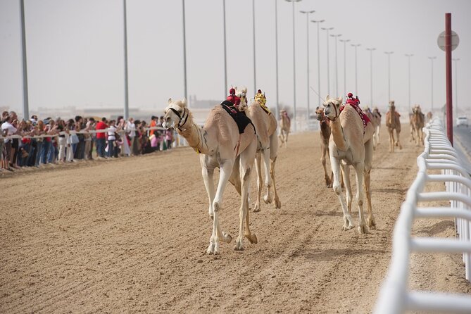 West Coast and Camel Race Track Visit - Why this half-day trip works beyond central Doha