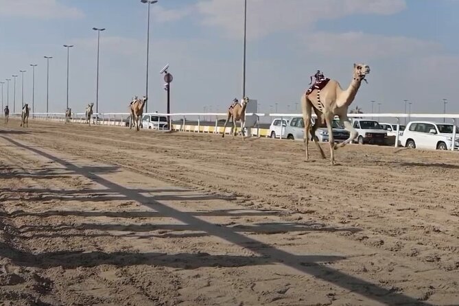 West Of Qatar, Mushroom Rocks, Camel Racing Track, Richard Serra - Richard Serra’s East-West/West-East in the open desert