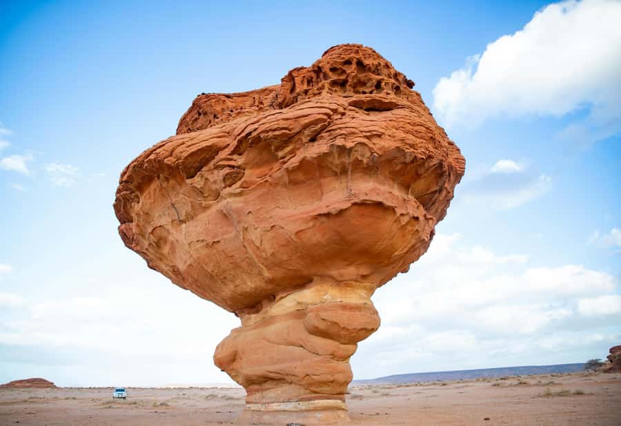 West of Qatar Richard Serra, Mushroom Hills, CamelRace track - Why West Qatar feels so different from Doha