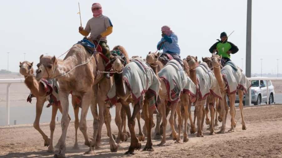 West Qatar-Doha Richard sierra,camel race,mushroom rock - Why Richard Serra’s steel sculpture is the main event