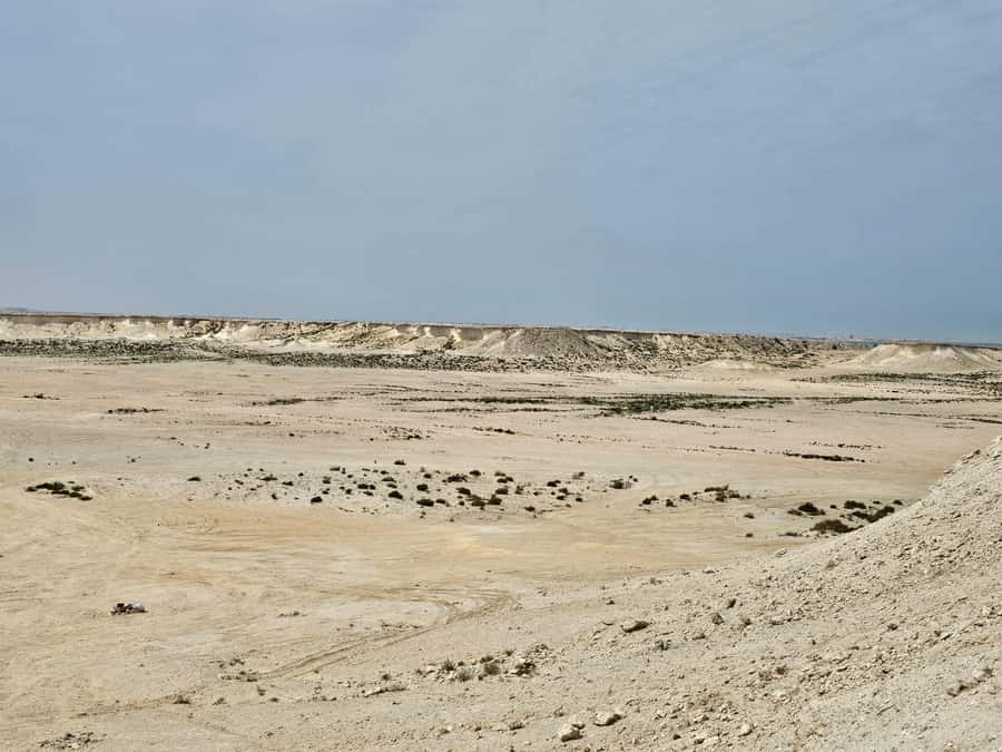 West Qatar-Doha Richard sierra,camel race,mushroom rock - The return drive and the real value of the half-day format