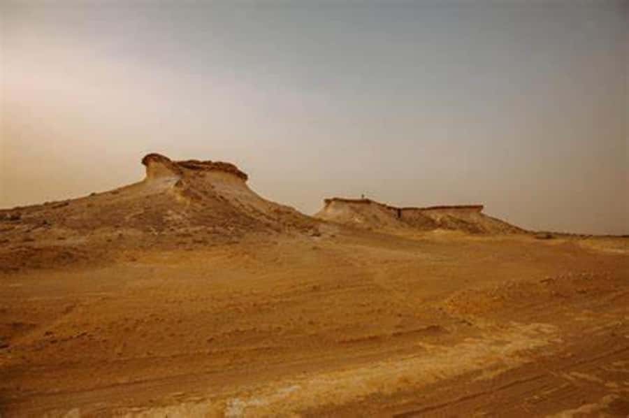 West Qatar-Doha Richard sierra,camel race,mushroom rock - Should you book it?